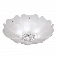 потолочный светильник lightstar lobo 804020 в Волгограде