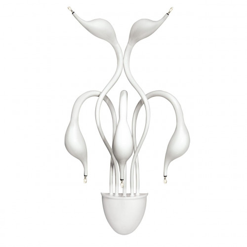 бра lightstar cigno collo wt 751656 в Волгограде