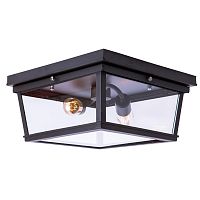 потолочный светильник loft it loft3110-2c в Волгограде
