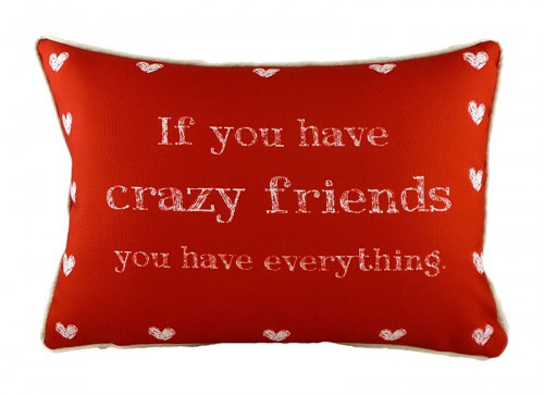 подушка с надписью crazy friends в Волгограде