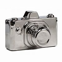 предмет декора camera серебряная в Волгограде