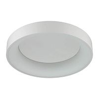 потолочный светодиодный светильник odeon light sole 4062/50cl в Волгограде